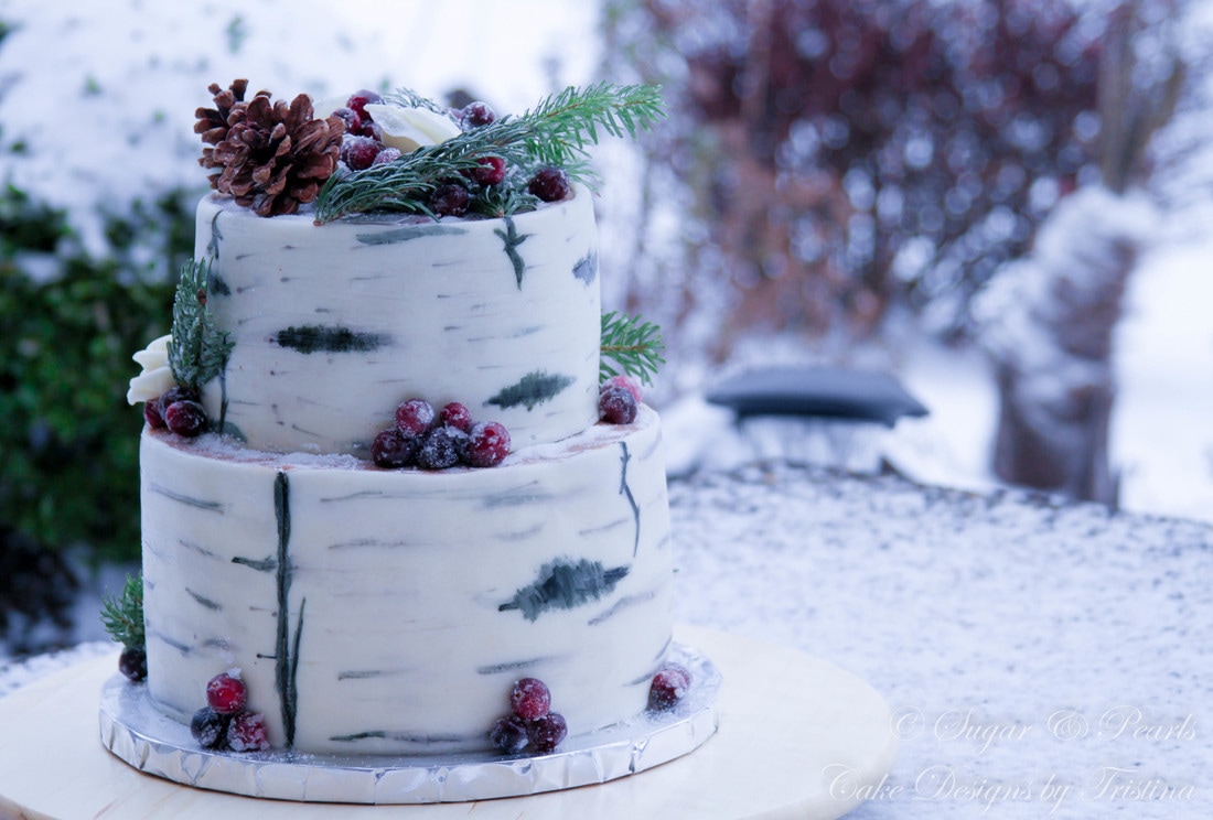 Winter Cake Ideas Must Try This​ Winter​ Season :